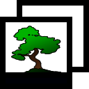 bonsai-community